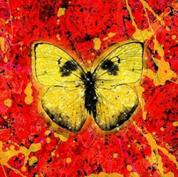 Cover Ed Sheeran - Shivers
