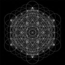 Cover 2hollis - Beginning
