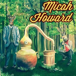 Cover Micah Howard - Bird's Eye View