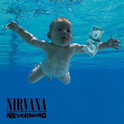 Cover Nirvana - In Bloom