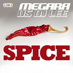 Cover Megara vs. DJ Lee - Spice (Single Edit)