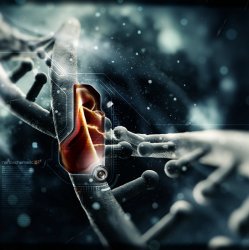 Cover Mark Day - Shifted Diamond