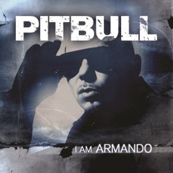 Cover Pitbull feat. Papayo - Armando