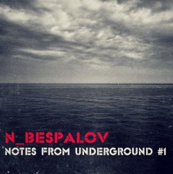 Cover N_Bespalov - Space