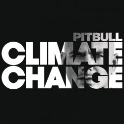 Cover Pitbull (feat. Robin Thicke, Joe Perry - Bad Man
