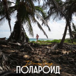 Cover Dima Sneg - Полароид (Remix)