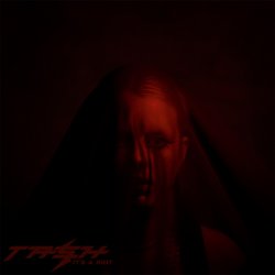 Cover Dear Tash - It's A Riot