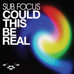 Cover Sub Focus - Could This Be Real (D'N'B Remix)