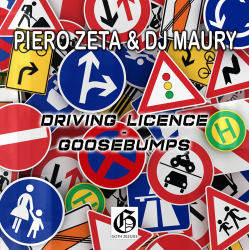 Cover Piero Zeta & DJ Maury - Driving Licence (Original Mix)