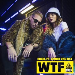 Cover HUGEL feat. Amber Van Day - WTF