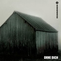 Cover Rammstein - Ohne Dich