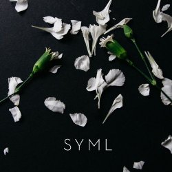 Cover SYML - Meant to Stay Hid