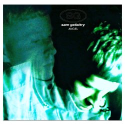 Cover Sam Gellaitry - Angel