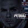 Pitbull - Not An Alcoholic