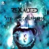 Cover Rexalted - Alone Rexalted - Alone