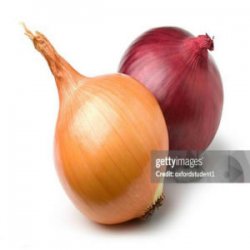 Cover internetcafe247 - funny onion song