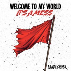 Cover Band of Silver - Welcome to My World It’s a Mess