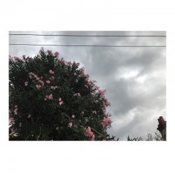 Cover Ceres feat. Japanese Wallpaper - Stretch Ur Skin