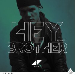 Cover Avicii - Hey Brother (Syn Cole Remix)