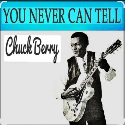Cover Chuck Berry - You Never Can Tell