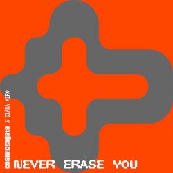 Cover Cosmic Gate & Diana Miro - Never Erase You