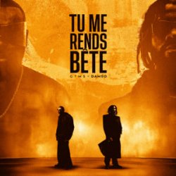 Cover GIMS & Damso - TU ME RENDS BÊTE