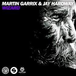 Cover Martin Garrix & Jay Hardway - Wizard (Original Mix)