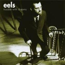 Cover Eels - Trouble with Dreams