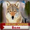 Cover Вячеслав Сидоренко - Волк Вячеслав Сидоренко - Волк