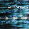 Cover Norman - Metrum Reflex Norman - Metrum Reflex