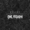 Cover Owl Vision - Zyborg Owl Vision - Zyborg
