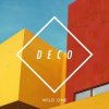 Cover Deco - Wild One Deco - Wild One