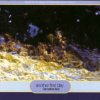 Cover Manna - Transport Of Delight Manna - Transport Of Delight