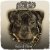 Cover Dogg Master - You're So Freaky