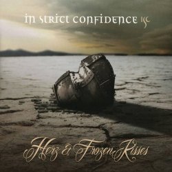 Cover In Strict Confidence - The Darkside