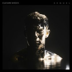 Cover Sub Focus feat. Culture Shock - Move Higher