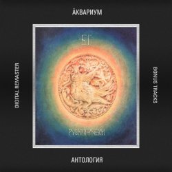 Cover Борис Гребенщиков - Никита Рязанский