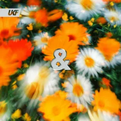 Cover Ekko & Sidetrack - Peace of Mind