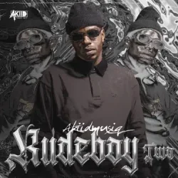 Cover AkiidMusiq - Vutha Mlilo (Mixed)