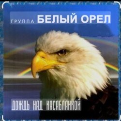 Cover Белый Орел - Дождь над Касабланкой