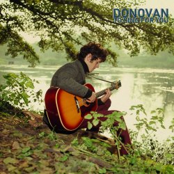 Cover Donovan - Hi, It's Been A Long Time