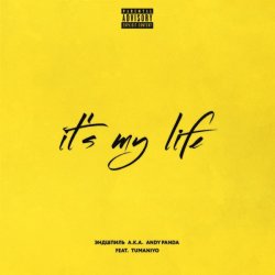 Cover Эндшпиль & TumaniYO - It's My Life