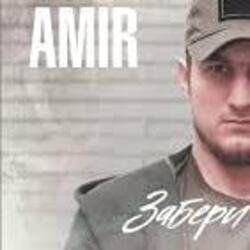 Cover AMIR x INSANE - Забери