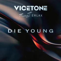 Cover Vicetone & Tsunami J. & ERLAX - Die Young (Club Mix)