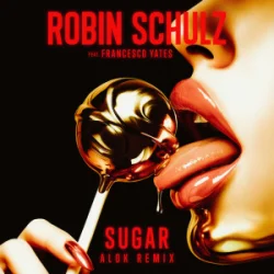 Cover Robin Schulz & Francesco Yates - Sugar (Alok Remix)