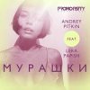 Cover Andrey Pitkin feat. Lera Papish - Мурашки Andrey Pitkin feat. Lera Papish - Мурашки