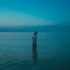 ABIS - Blue