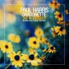 Cover Paul Harris feat. Dragonette - One Night Lover (Nora en Pure Remix) Paul Harris feat. Dragonette - One Night Lover (Nora en Pure Remix)