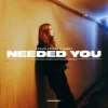 Cover Stevie Krash & VASSY - Needed You Stevie Krash & VASSY - Needed You