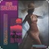 Cover Mr Salama - Fall in love Mr Salama - Fall in love